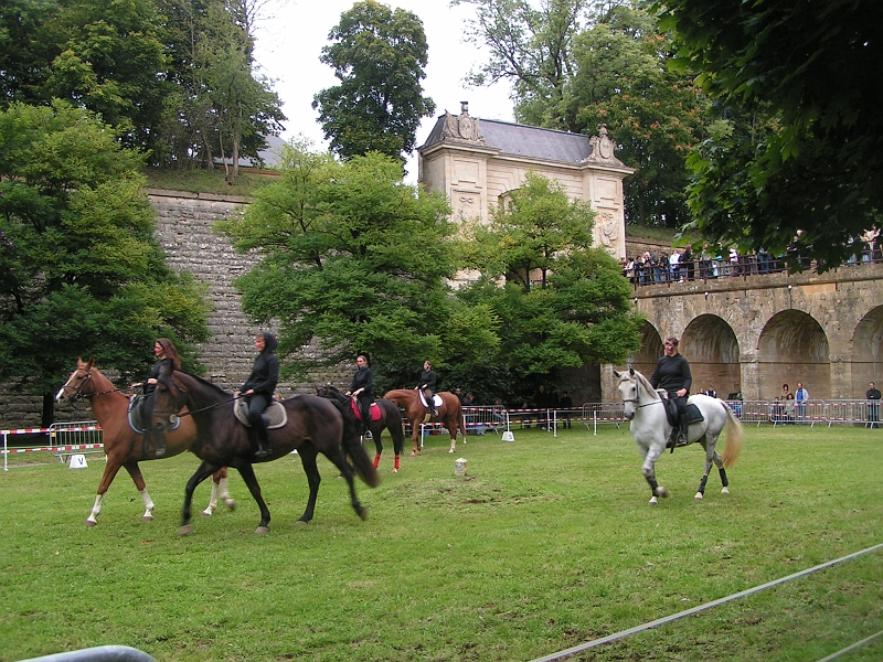 REMPARTS LONGWY 2008 225.jpg
